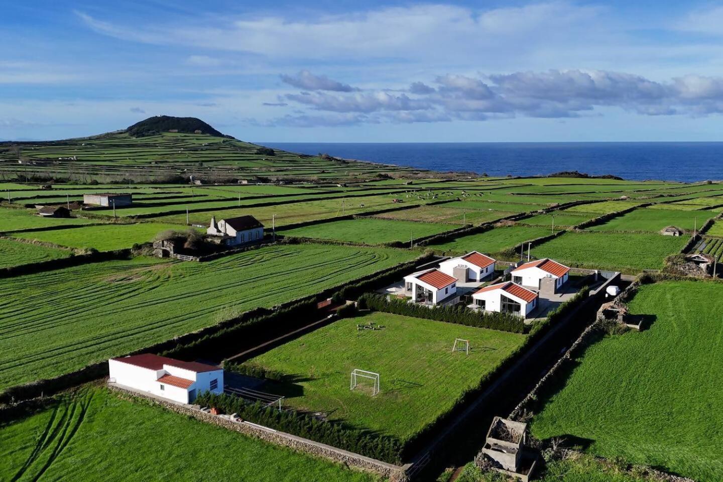 Wine House By Ponta Negra Azores Altares 外观 照片