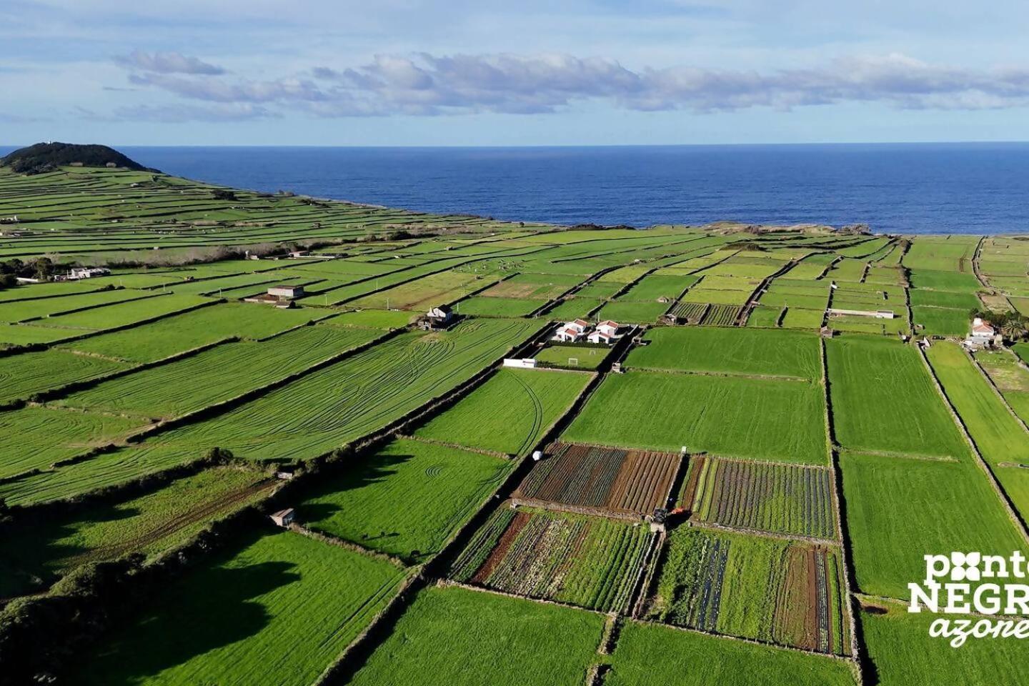 Wine House By Ponta Negra Azores Altares 外观 照片